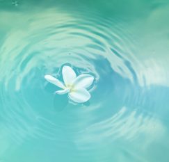 Ripple Ateliers Vitalité Bien-Être